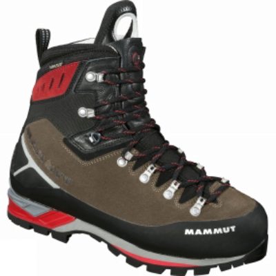 Mens Montosa GTX Boot